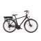 World Dimension Perses Man Elektrofahrrad mit Pedalassistent