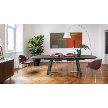 HOLLY CS2037 Calligaris Stuhl
