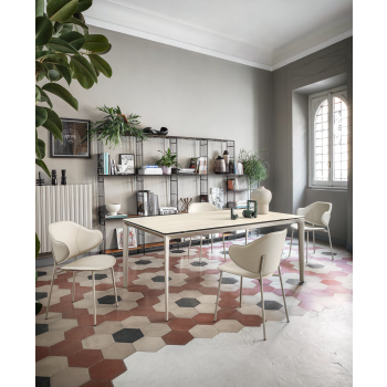 HOLLY CS2037 Calligaris Stuhl