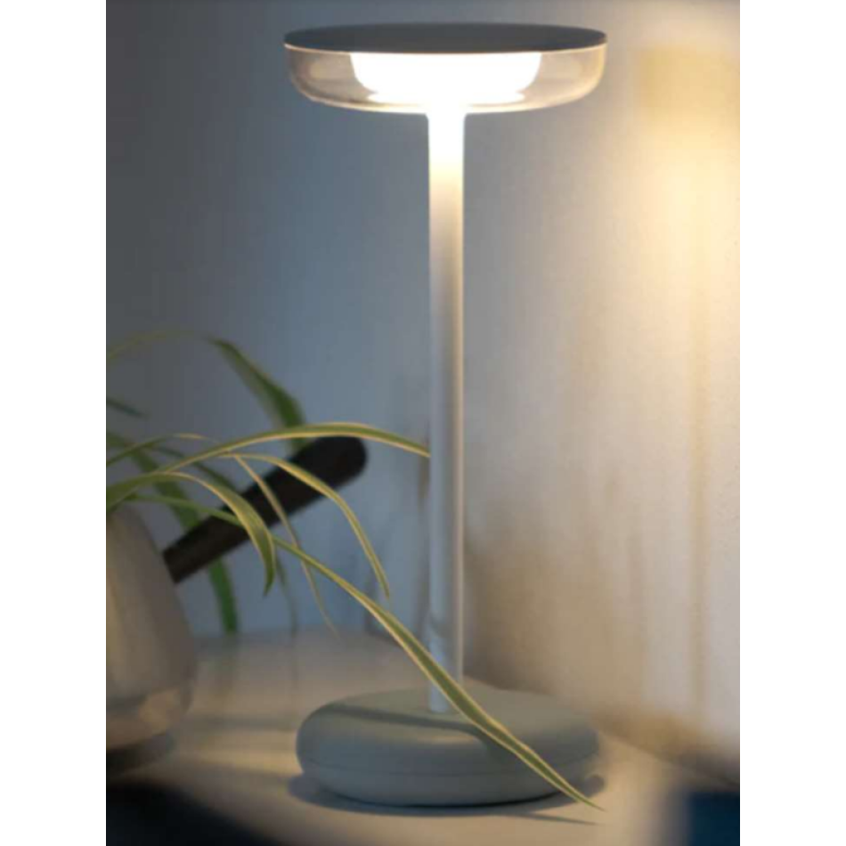 Lampada da tavolo WD