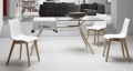 Sedia Natural Zebra Antishock in legno e policarbonato Scab design