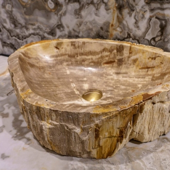 Cipì Stone Tree CP950 / T Waschbecken aus einzigartigem und unwiederholbarem versteinertem Holz