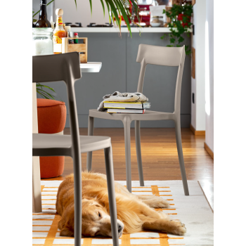 Argo Chair CB1523 von Connubia