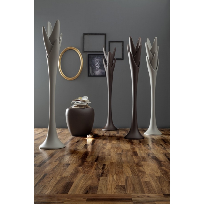 Hanger Ear of Tonin Casa on offer