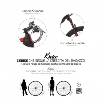 Versus 24 "/ 26" Kresco Electric Bike by World Dimension with Pedal Assist
