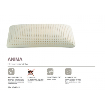 Anti-mite anti-mite memory cushion