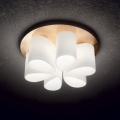 DAISY PL6 ceiling light by Ideal Lux