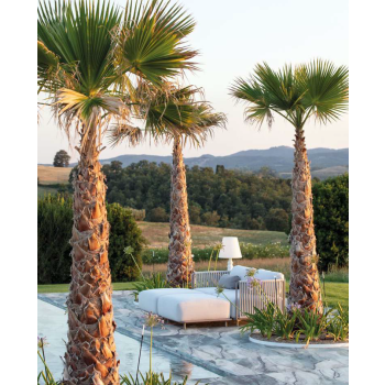 Néa modular sofa by Vermobil