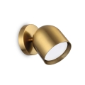 DODO AP1 brass wall lamp by Ideal Lux