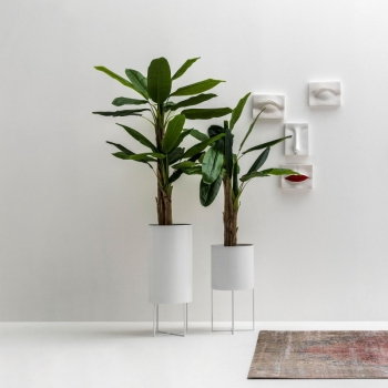 Ambrella planter by Adriani&Rossi