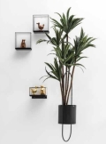 Fly hanging planter by Adriani&Rossi