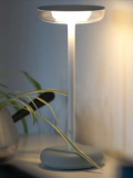 WD table lamp