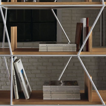 Lexingtong Bontempi bookcase with shelves