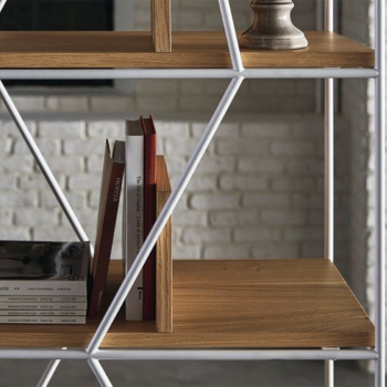 Lexingtong Bontempi bookcase with shelves