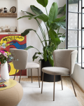 Betty CB2334 chair by Connubia
