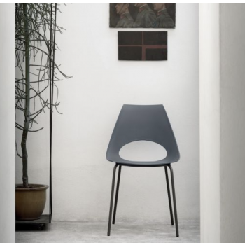 Shark plastic chair by Bontempi for indoor and outdoor use