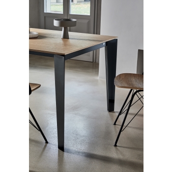 Polo chair by Bontempi in solid wood or steel