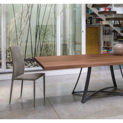 Renee chair by Ingenia