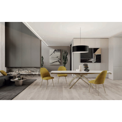 Virgo A chair by Zamagna