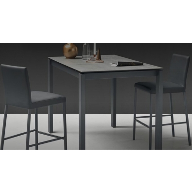 Garda Connubia Calligaris chair upholstered in faux leather