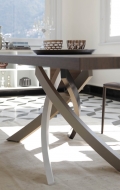 Artistic fixed table structure for wooden tops