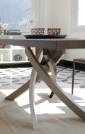 Artistic Fixed Table Structure for Wooden Tops