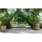 Lisa Lounge Coffee Table by Scab Design