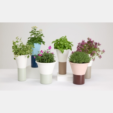 Mimosa Vase by Scab Design