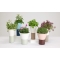 Mimosa Vase by Scab Design
