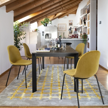 Chaise Academy CB1663 de Connubia