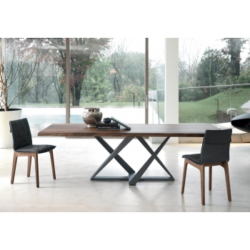 Chaise Alfa de Bontempi avec monocoque en bois laqué