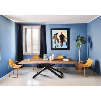 Chaise Apelle par Midj avec assise en cuir