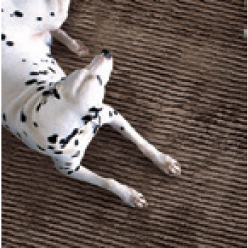 Tapis de sol par Adriani & Rossi