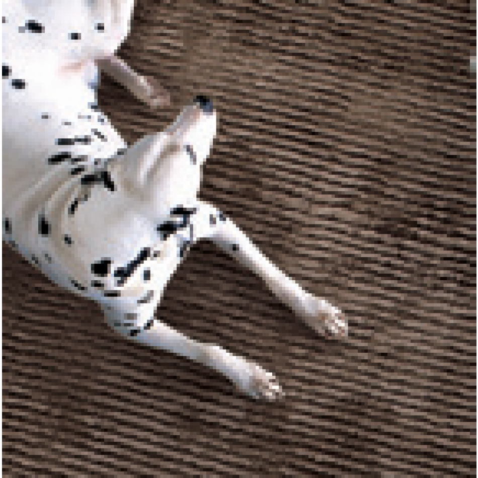 Tapis de sol par Adriani & Rossi